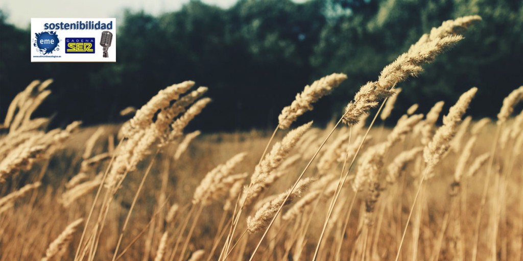 Nostoc-Biotec-El-Mundo-Ecológico-cadena-SER
