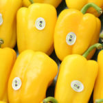 pimientos ecológicos