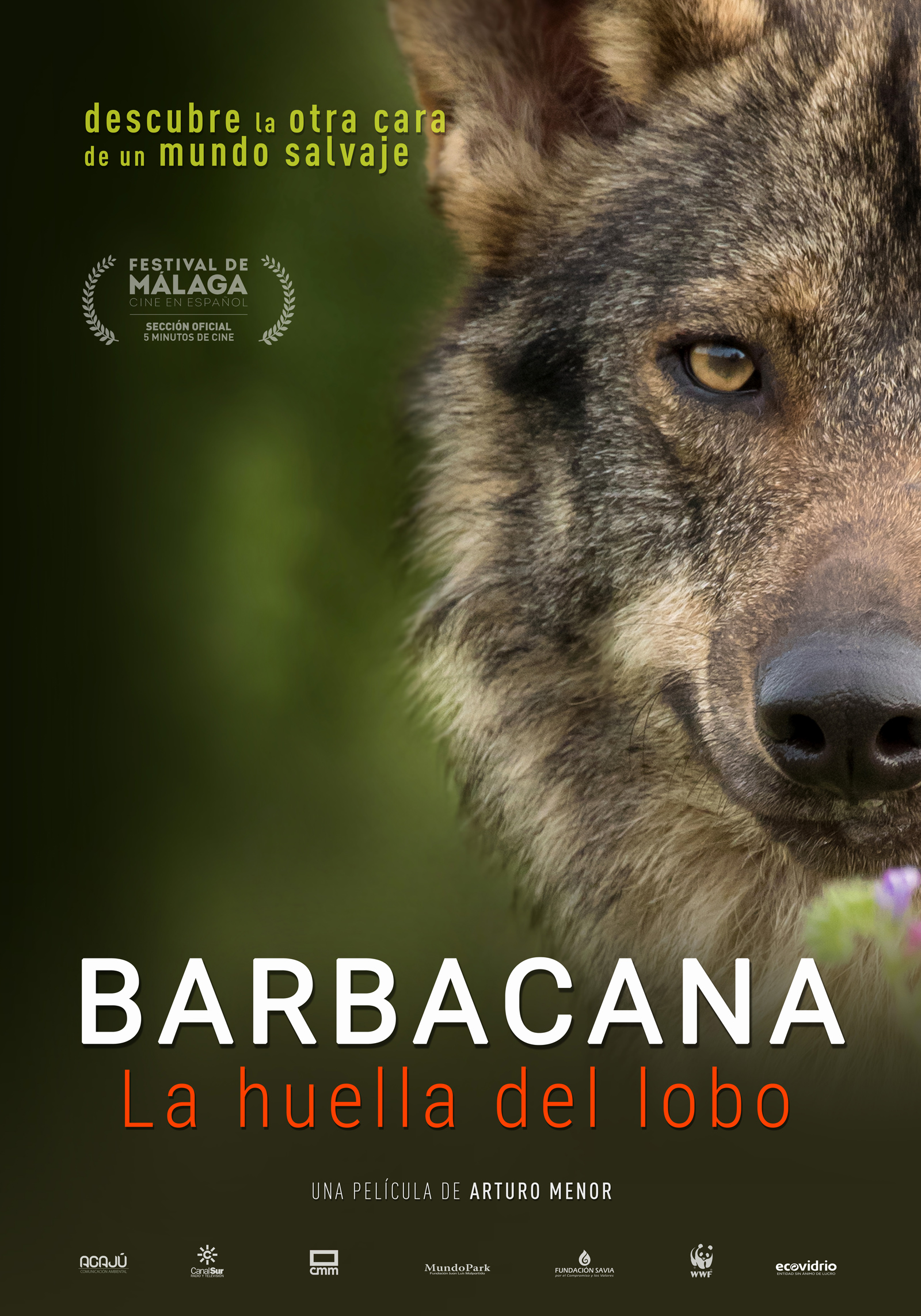 Barbacana la huella del lobo película Arturo Menor prevención ataques lobos Cartel