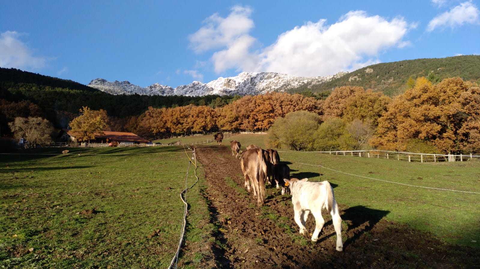 Castilla Vede agricultura biodinámica Cercedilla Madrid