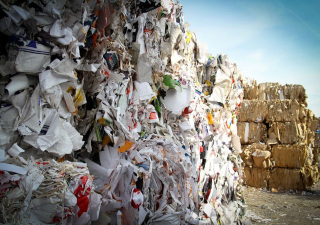 Economía circular papel y carton empleo