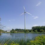 descarbonización de economía