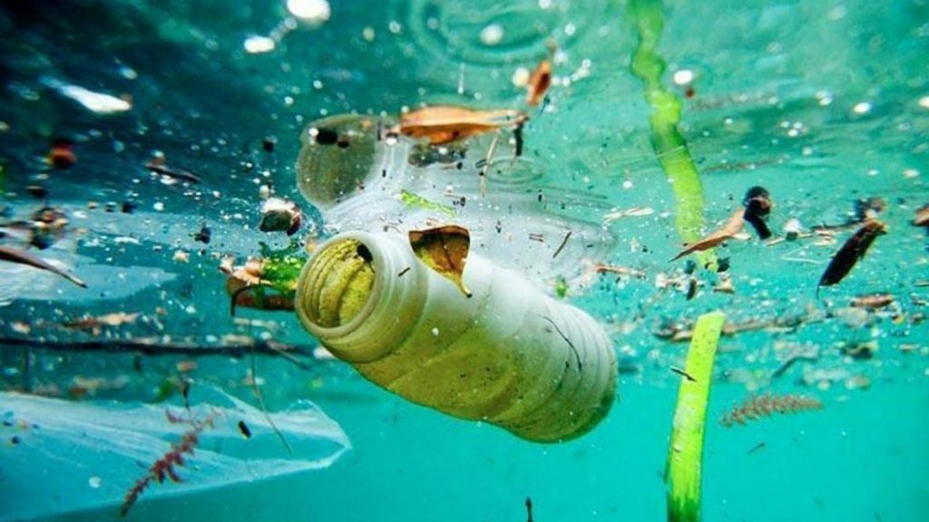 plásticos océano