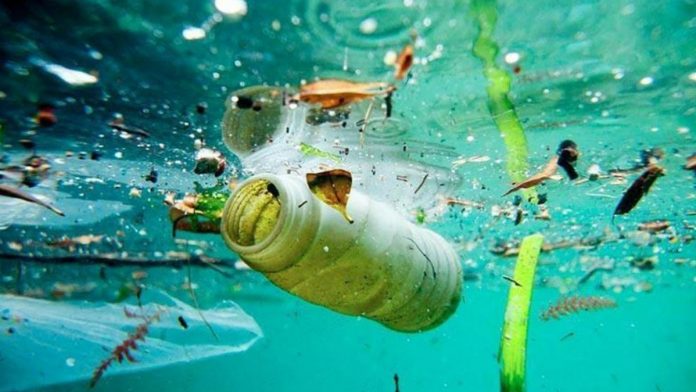 plásticos océano