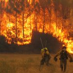 Incendios forestales