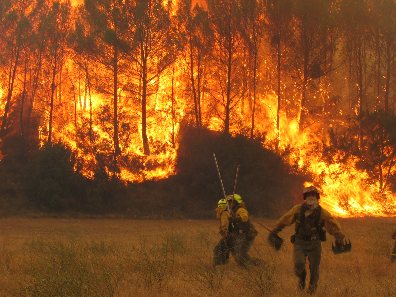 Incendios forestales