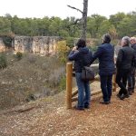Bioeconomía forestal de cuenca