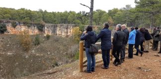 Bioeconomía forestal de cuenca