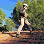 Equipo de rescate GREFA