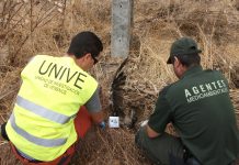 agentes ambientales SEOBirdLife