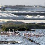 invernaderos solares