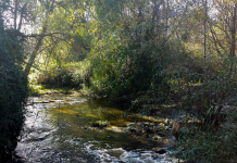 retirada residuos rio Guadarrama