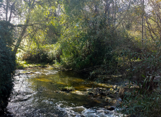 retirada residuos rio Guadarrama