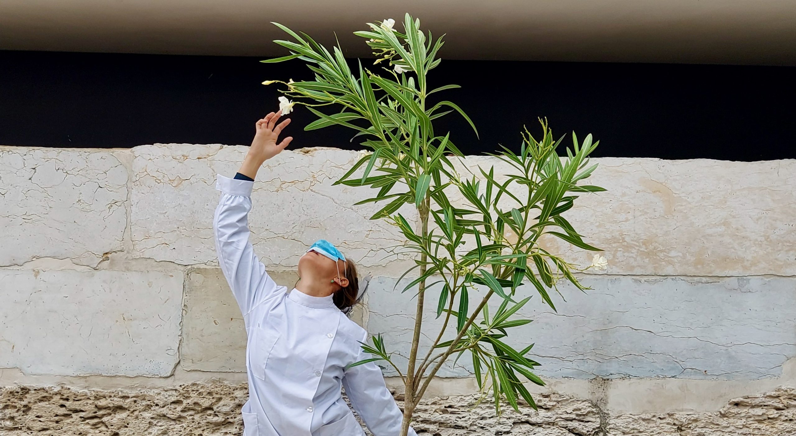 Bionic Festival plantas