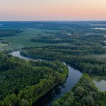 Estudian selva Amazónica 