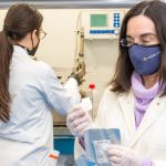 proyectos sostenibilidad ambiental