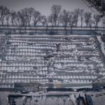 Filomena campos cultivo