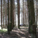 Graciaspapel web papel medioambiente