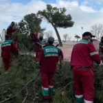 evalúan daños áreas verdes