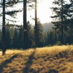 Microsoft medio ambiente