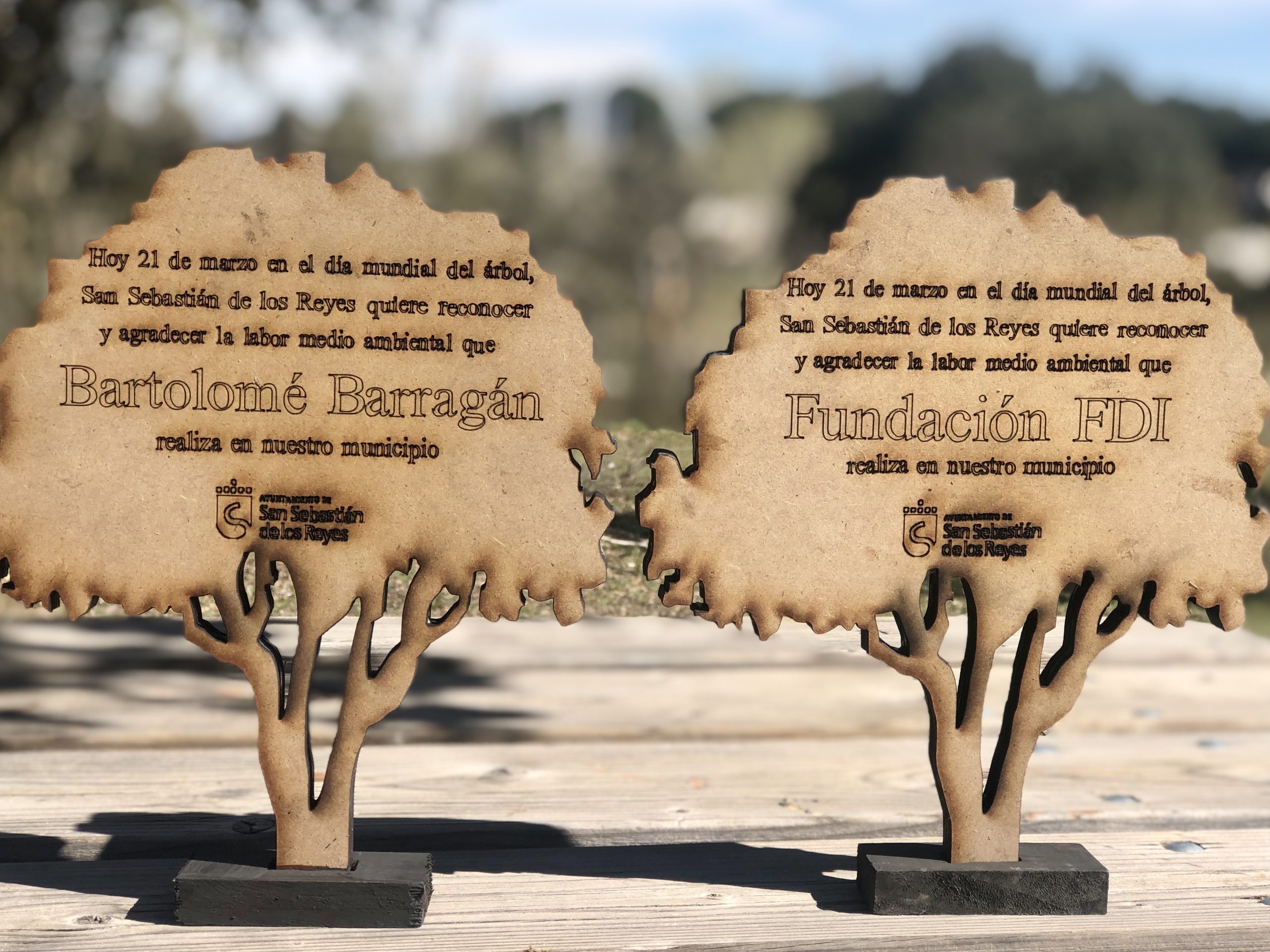 Reconocimientos día mundial del arbol Ayuntamiento de San Sebastián de los Reyes