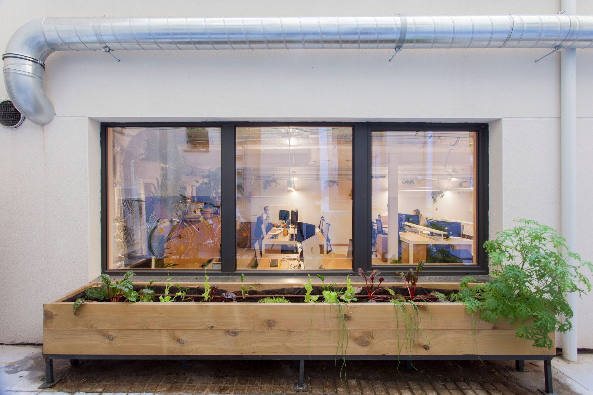 Triple coworking ecologico Madrid Argüelles