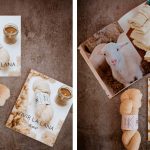 Libro vivir la lana, un proyecto de dLana