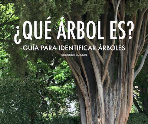 Paco Lara, ¿Qué árbol es?