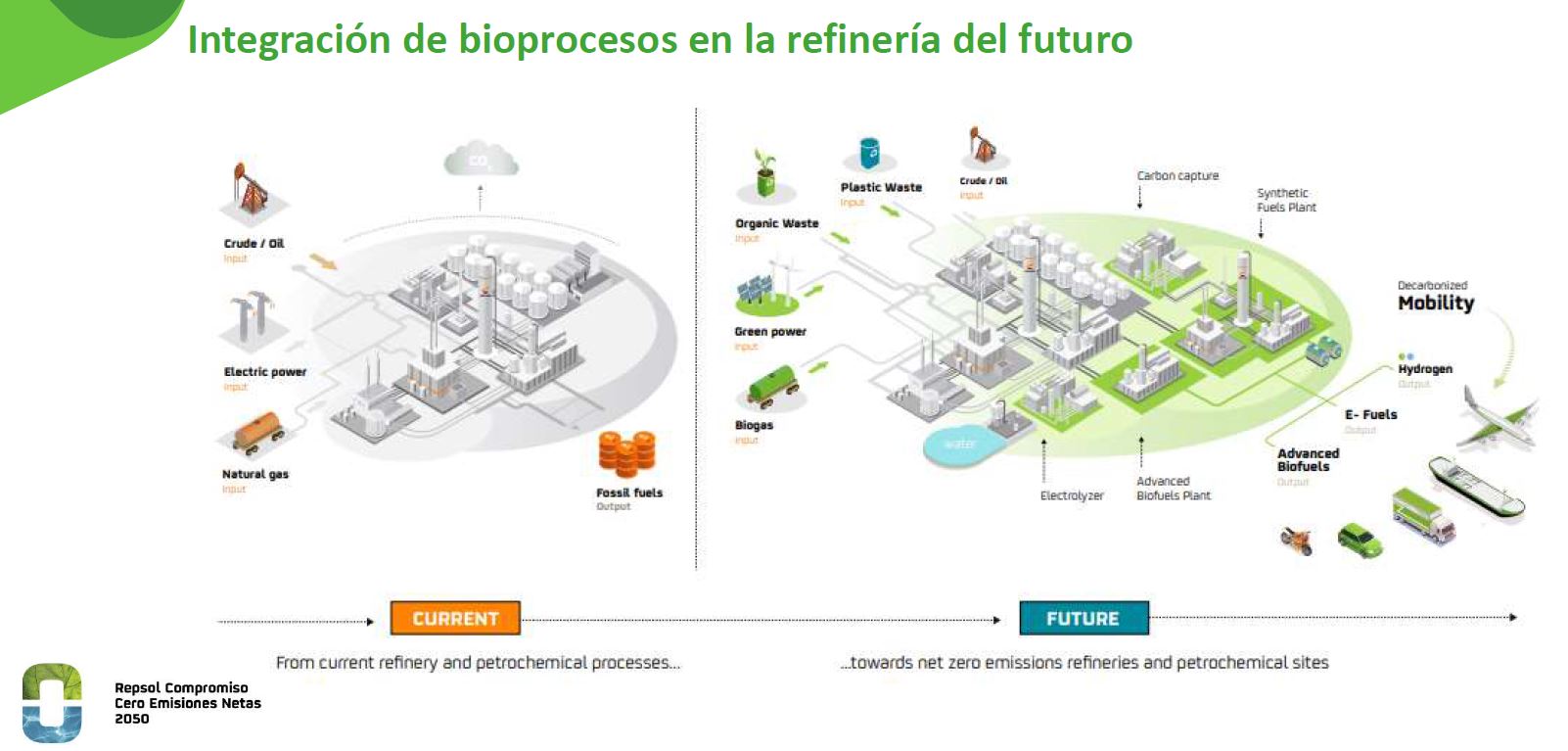 BIOPLAT