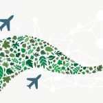 Sustainable Aviation Fuel SAF