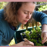 Fundación Yves Rocher