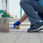 Consejos para prevenir una plaga de hormigas en casa