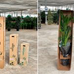 International Paper Interflora España