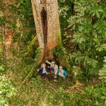 ARBIO Perú Amazonas