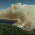 Greenpeace-deforestacion banco Santande