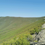 Santander reforestación