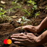 Priceless Planet Coalition