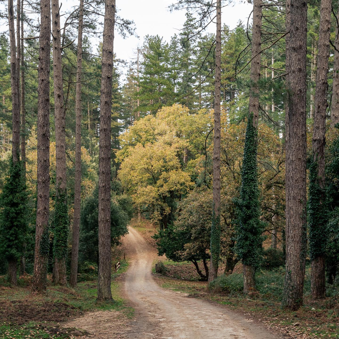 Parco Italia