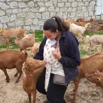 Ganaderas en Red La Caperuza