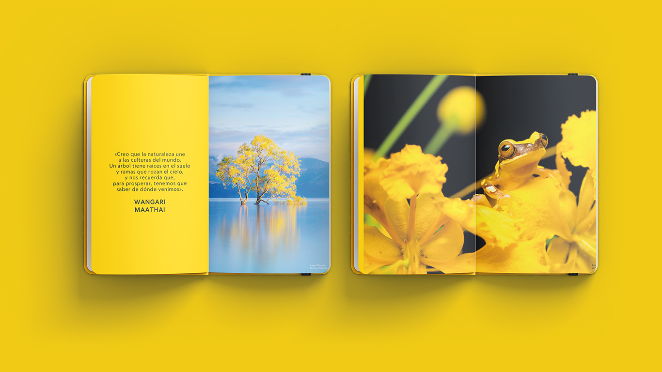 National Geographic España Agenda