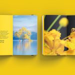 National Geographic España Agenda