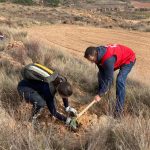 proyecto +CO(mpensa)2 Cruz Roja