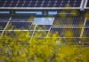 Parque energía fotovoltaica