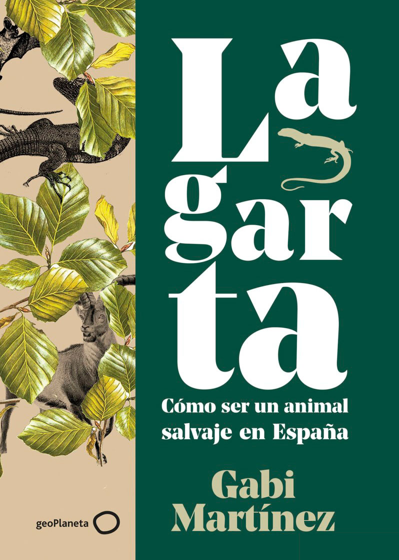 Lagarta Gabi Martínez fauna salvaje española