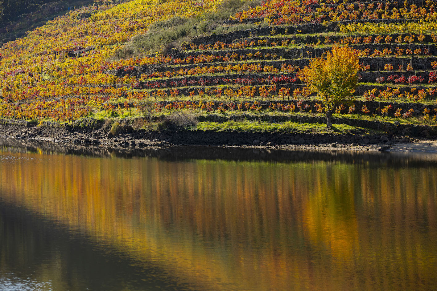 Enonatur en la Ribeira Sacra