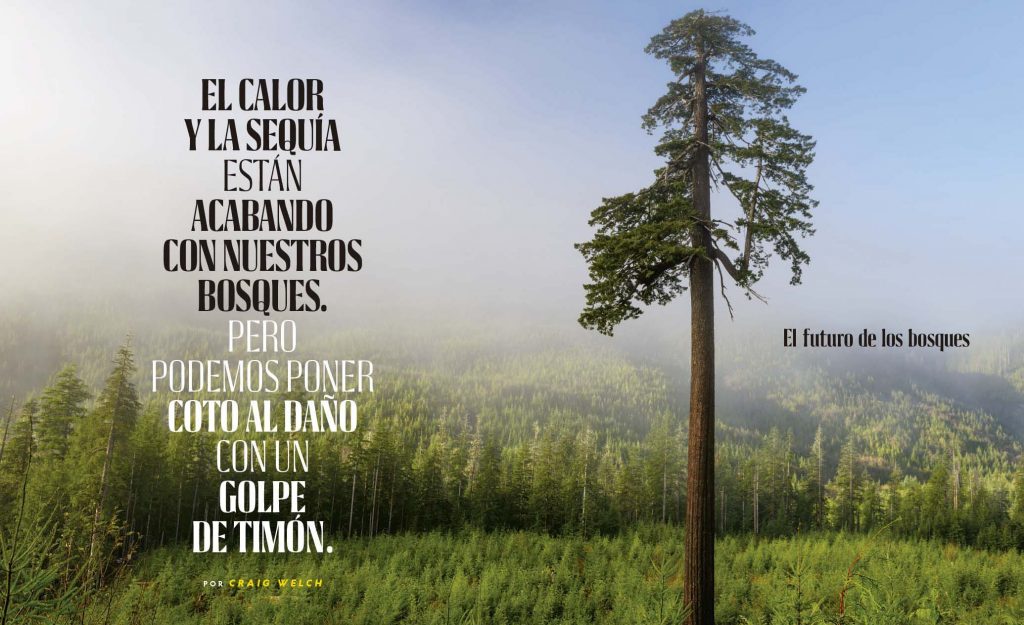 National Geographic 25 años futuro bosques