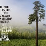 National Geographic 25 años futuro bosques