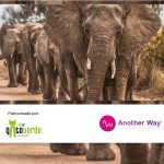 Another way Film Festival 2022 Madrid