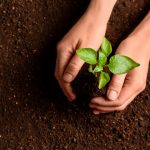 Reciclaje economia circular