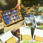 taller-biodiversidad-Benidorm